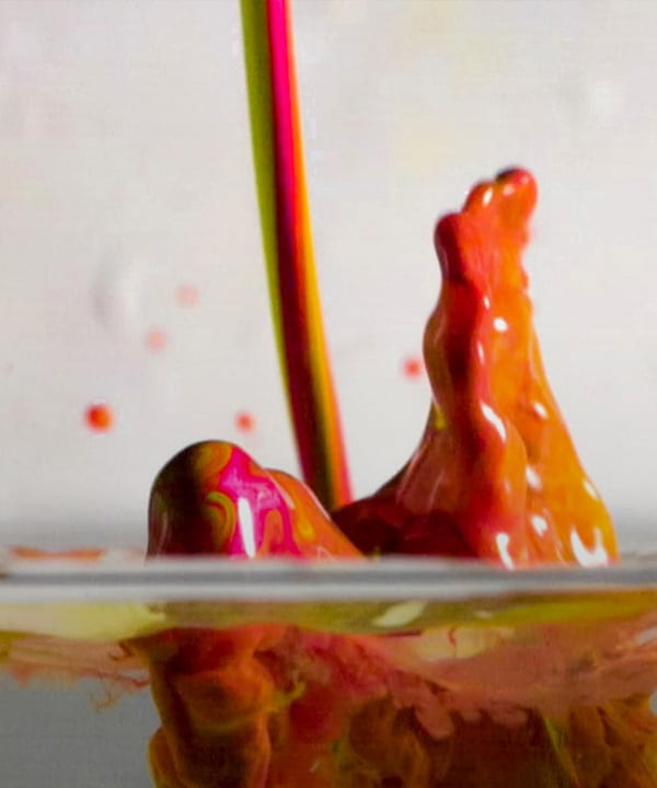 Fluid Dynamics